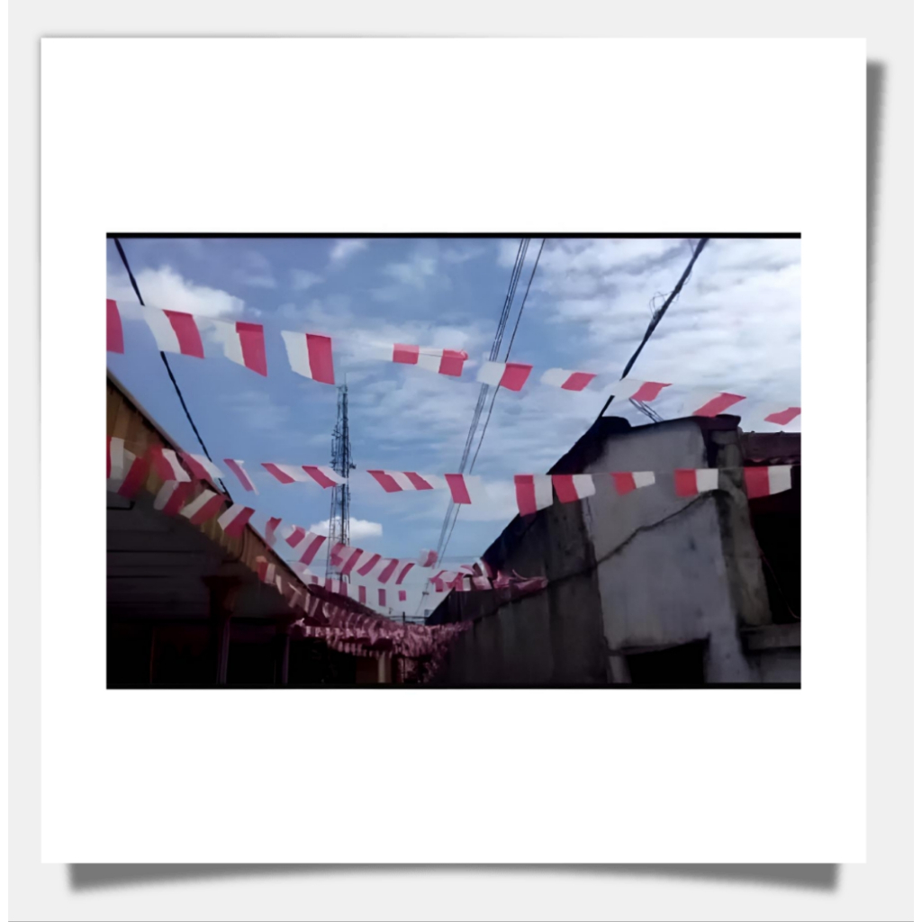 Bendera merah putih plastik 100 pcs / bendera plastik bunga lily