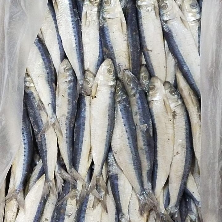 

IKAN ASIN JAPUH SIRO MURAH 1 KG/BISA COD DI TEMPAT