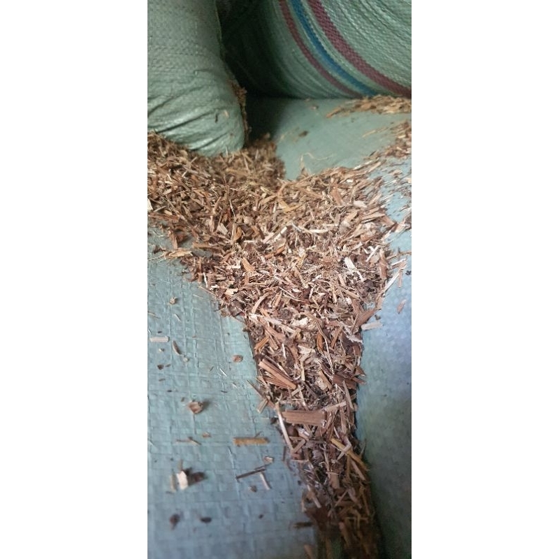 hay kangkung, kangkung kering, rendeng kangkung