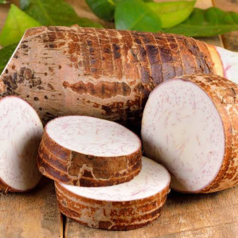 

Ubi Talas/Kimpul/Enhtik Segar 1 Kg Free Ongkir
