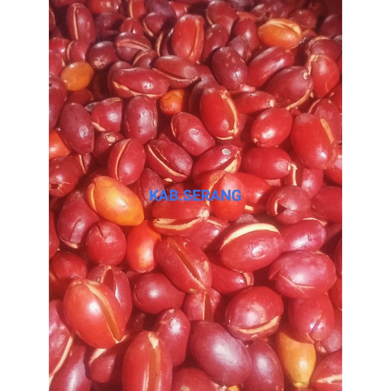 

Kulit Melinjo Mentah 1kg