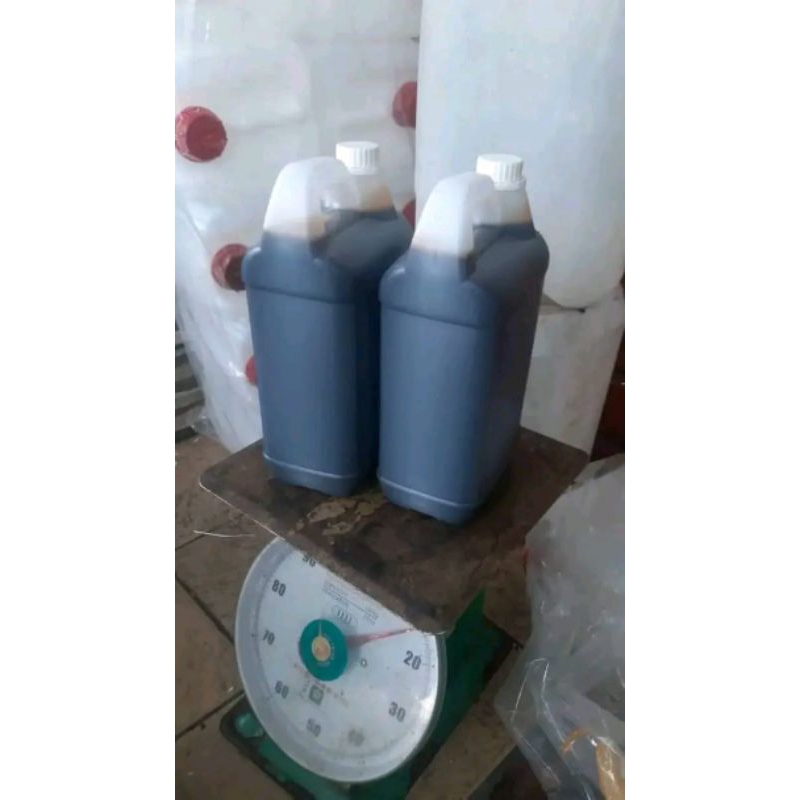 

Grosir Termurah Madu Akasia [5KG] Madu Asli Tanpa Campuran 100% Raw Honey