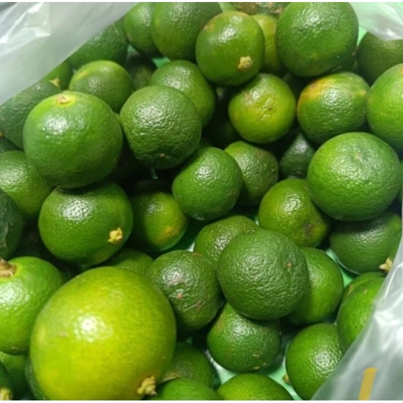 

Jeruk Sonkit / Jeruk Kasturi / Jeruk kunci lemoncui Segar 500gr 1000gr