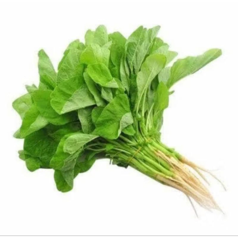 

sayur daun bayam lezat per iket