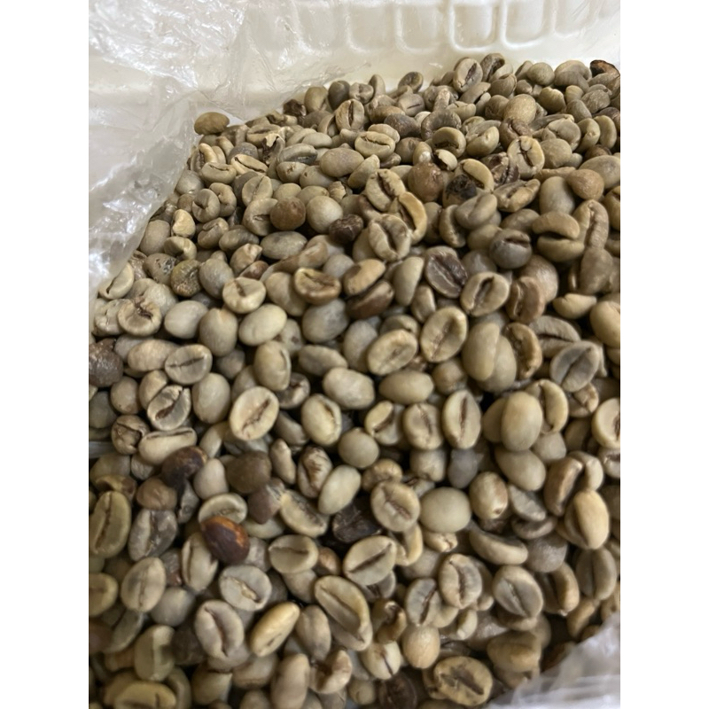 

BIJI KOPI ROBUSTA BANYUWANGI BIJI KOPI BANYUWANGI BIJI KOPI KHAS ASLI BANYUWANGI BIJI KOPI MURAH BIJI KOPI KILOAN BIJI KOPI MENTAH ROBUSTA BIJI KOPI GREEN BEAN ROBUSTA GREEN BEAN ARABIKA GRADE 1 GRADE 2 ASALAN