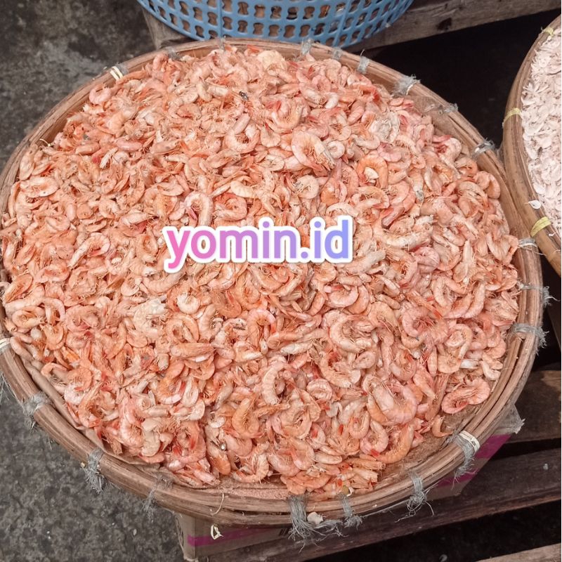 

Udang Kering/Udang Asin 100gr (1ons)