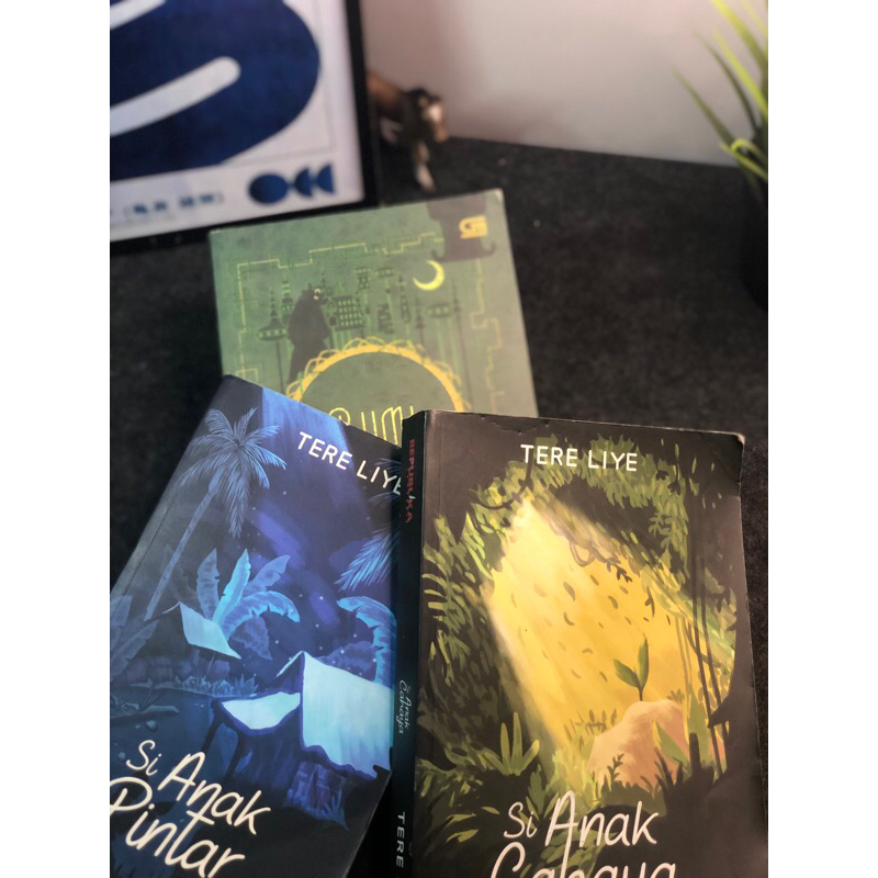 (Preloved) buku TERE LIYE