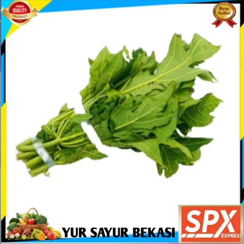 

Daun Pepaya/Paya (Per ikat).