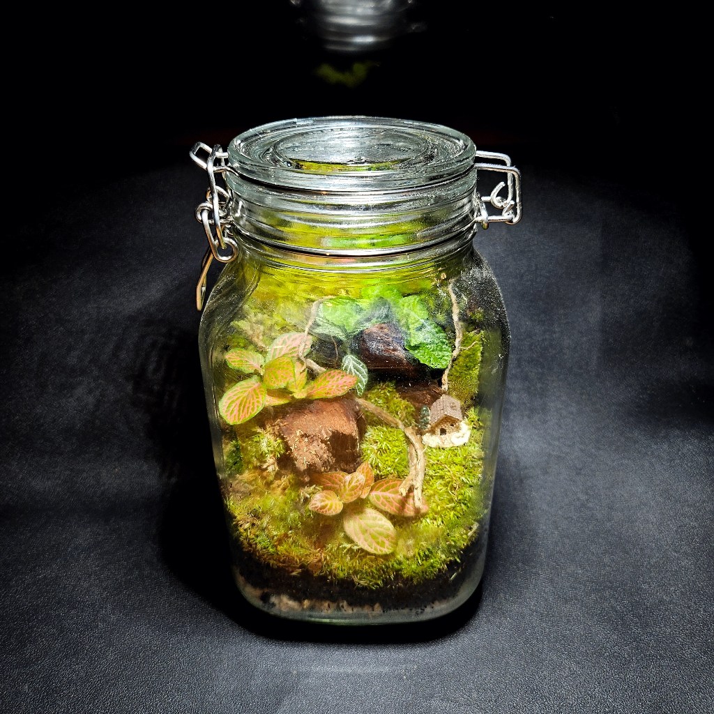 RB TERRARIUM JAR KIT TERRARIUM TOPLES KIT PRAKTIK TUGAS SEKOLAH