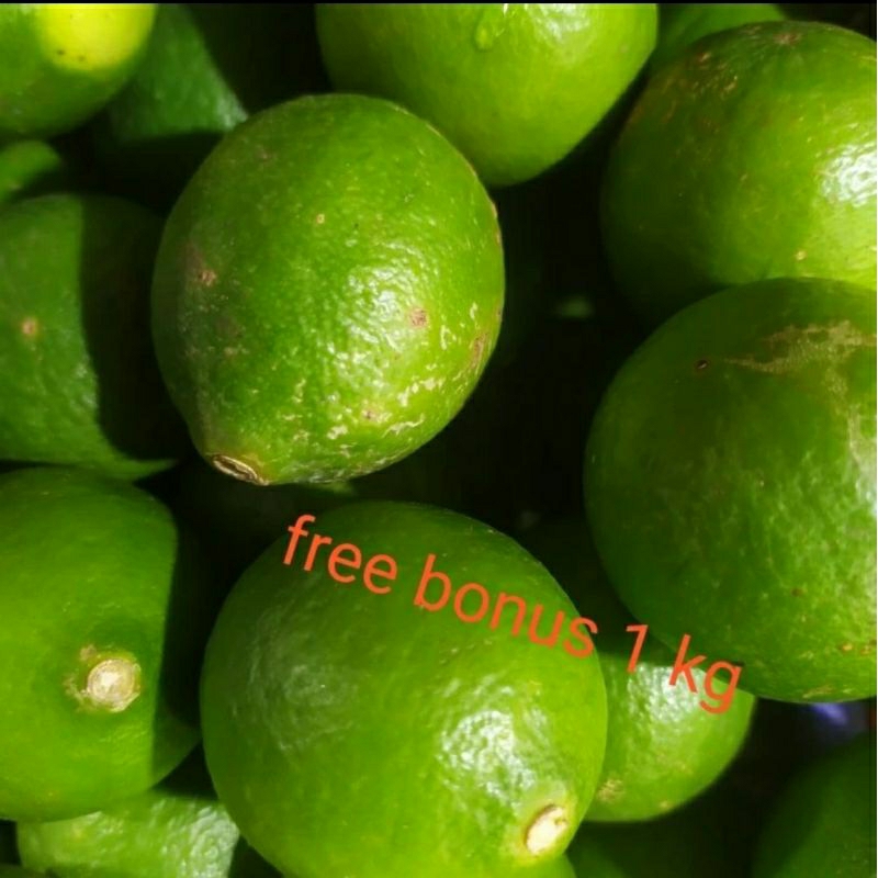 

jeruk nipis 250gr + gratis bonus