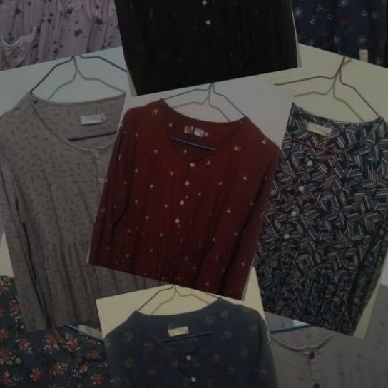 Preloved Ditsy / PL Ditsy