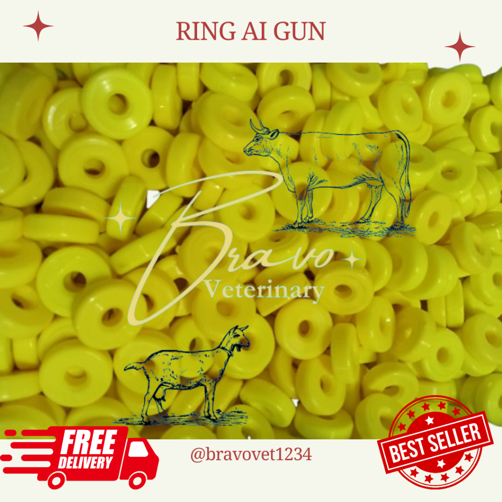 RIng AI Gun IB (Inseminasi Buatan) Untuk Gun Sapi - Perbiji
