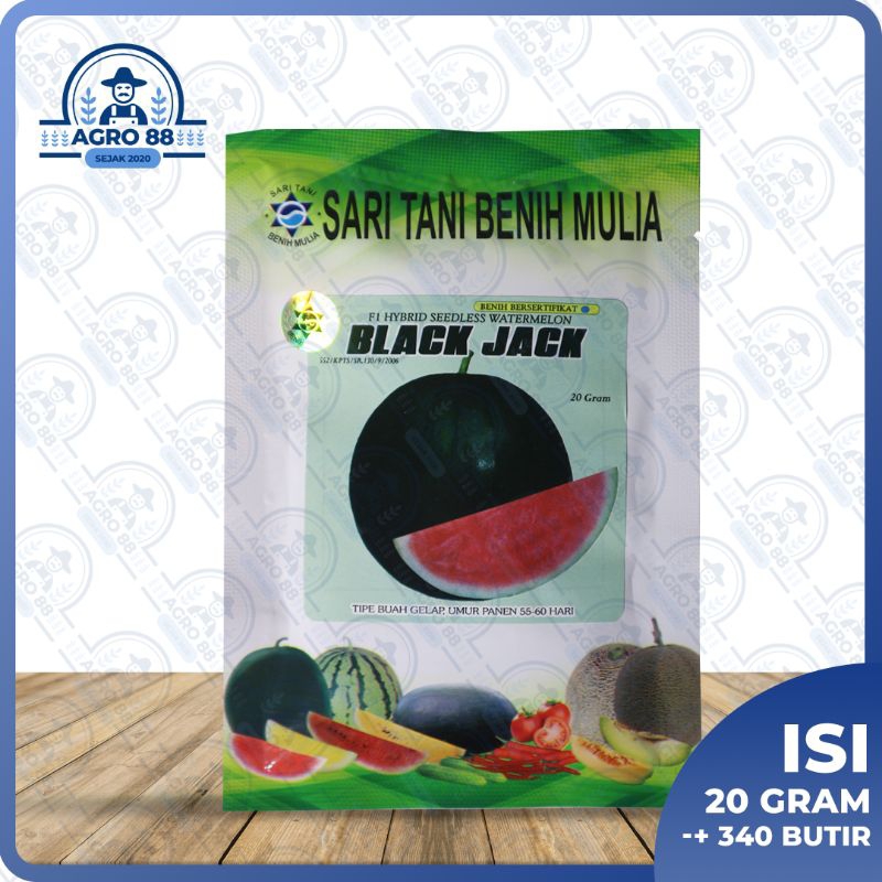 Benih semangka kulit gelap blackjack