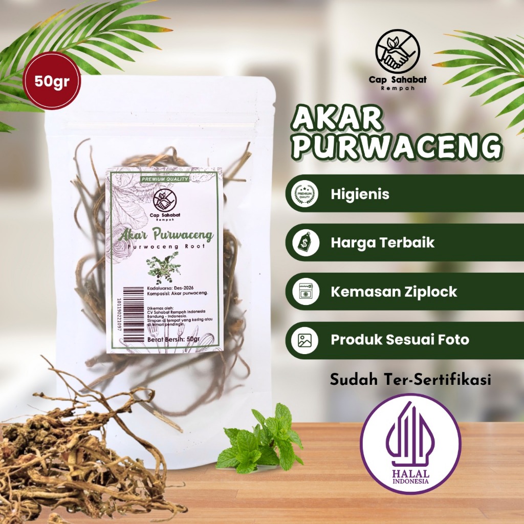 

50gr Akar Purwaceng / JSR / 100% PREMIUM QUALITY