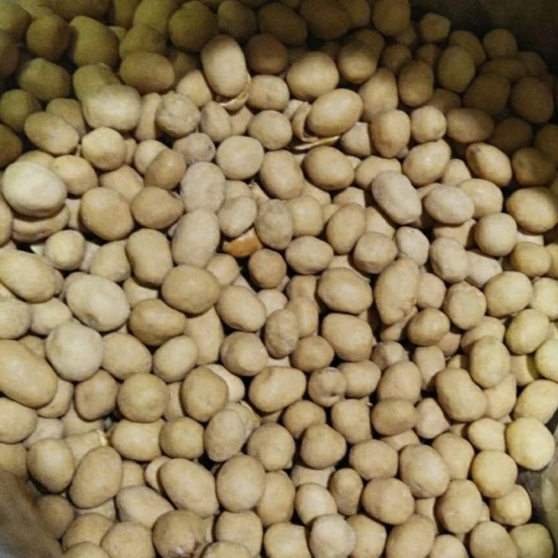 

KACANG ATOM PANGGANG 500gr