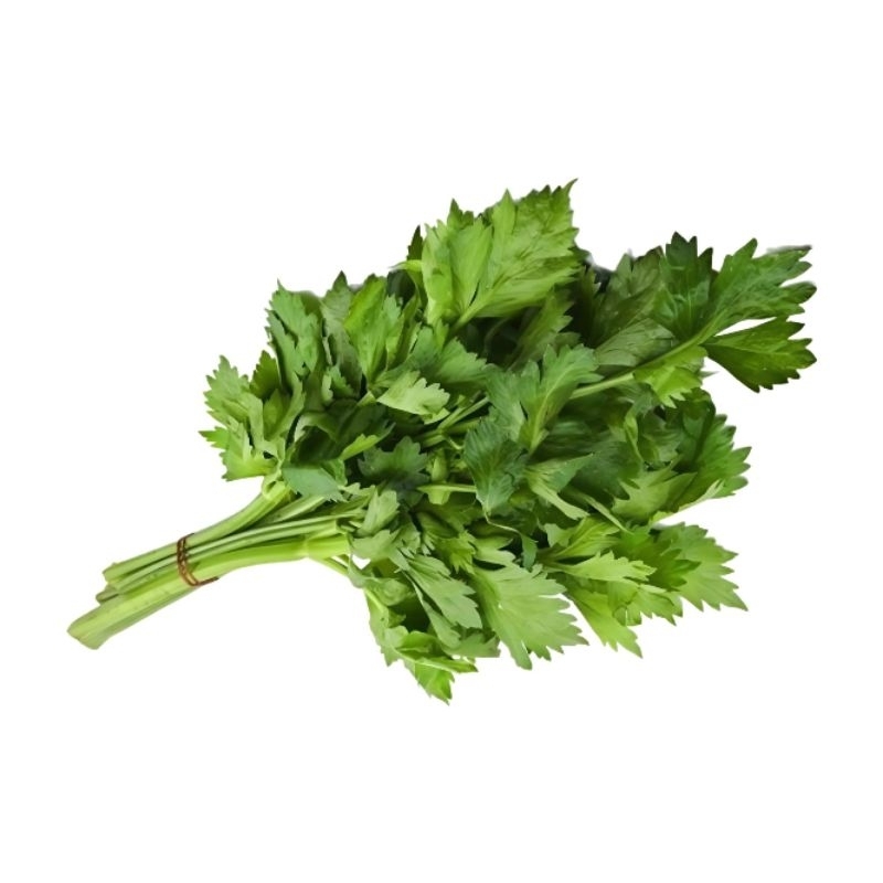 

Daun Seledri 1 Ikat