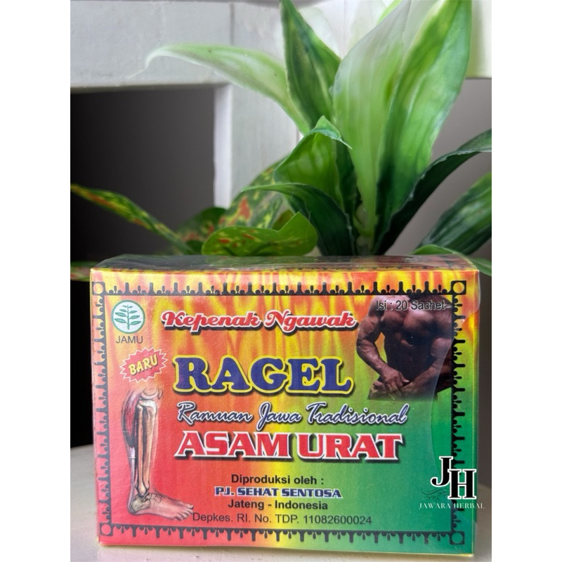 RAGEL KAPSUL ASAM URAT NYERI TULANG ORI
