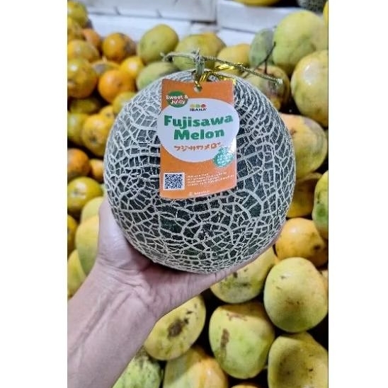 

melon fujisawa