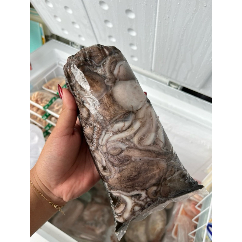 

Baby gurita 1kg