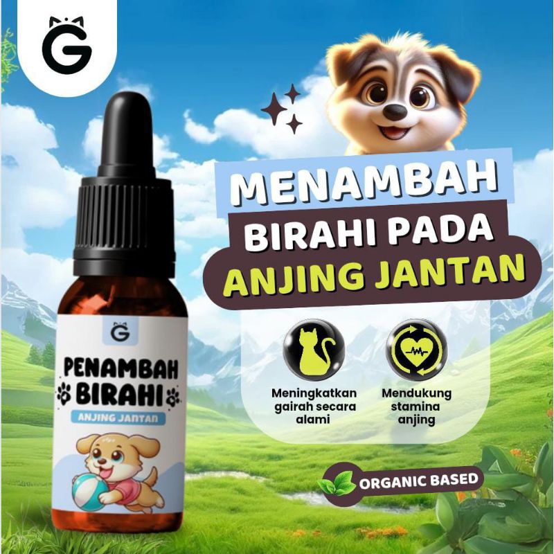 GUMELABS PENAMBAH BIRAHI ANJING JANTAN