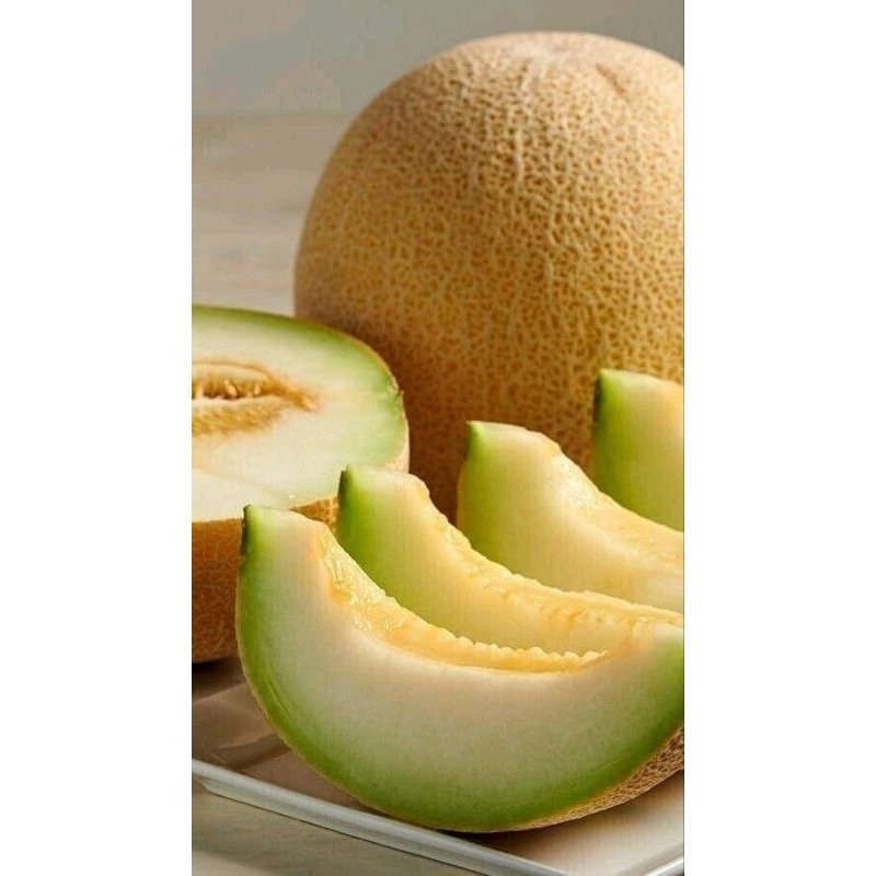 

MELON MADU MANIS FRESH 1 BUAH