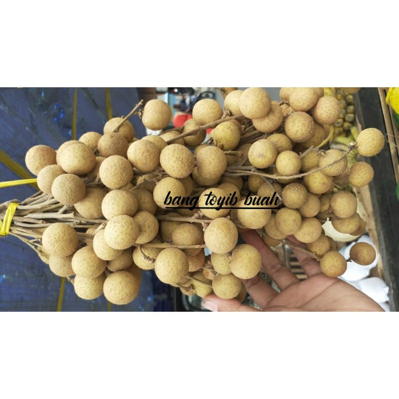 

klengkeng manis