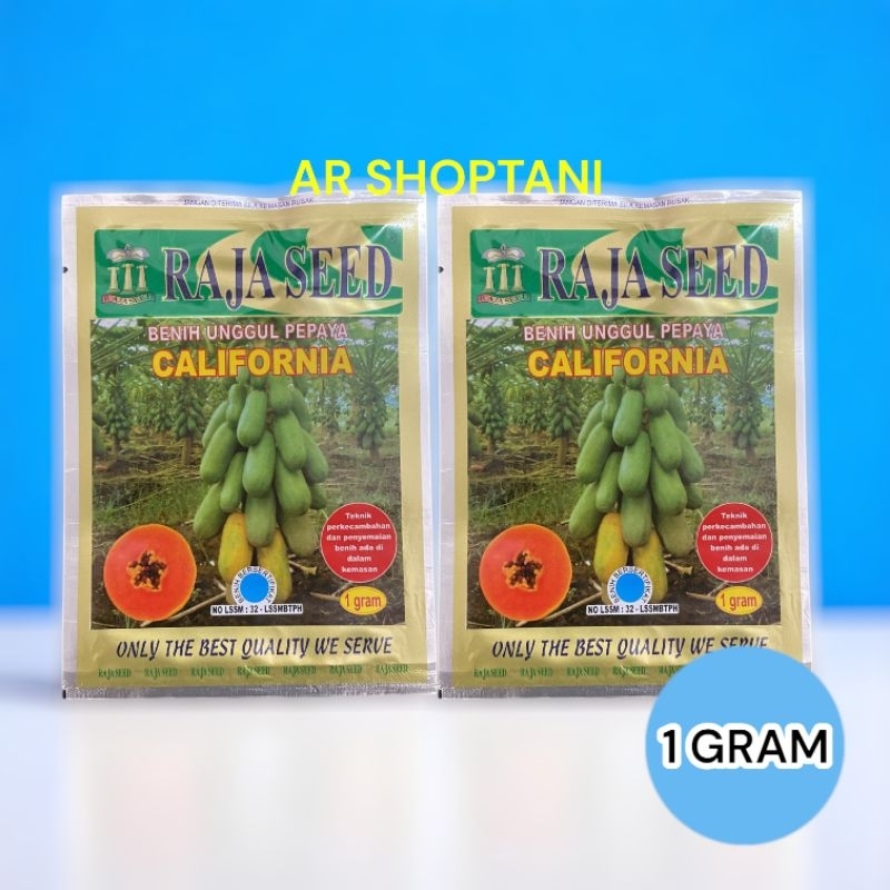 CALIFORNIA Raja Seed 1 Gram Benih Pepaya