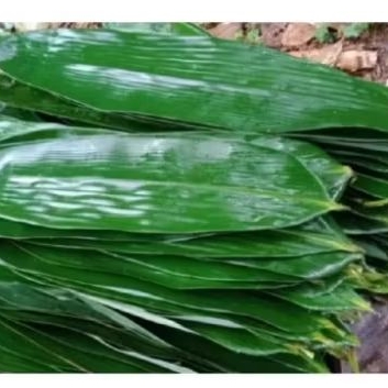 

Daun Bambu Isi 50 Lembar