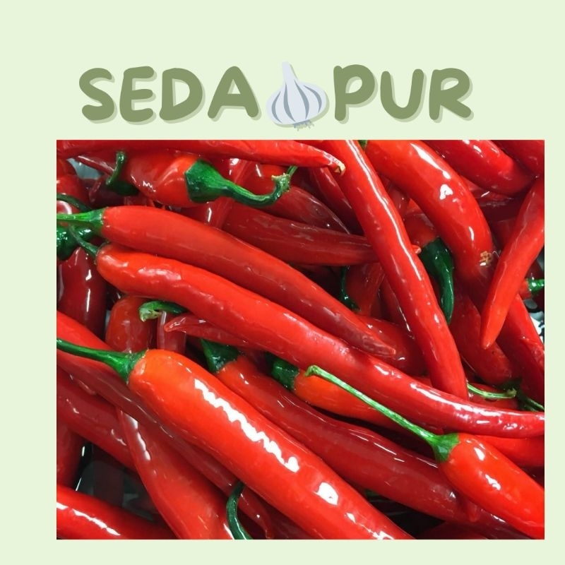 

CABE MERAH BESAR SEGAR 1PACK