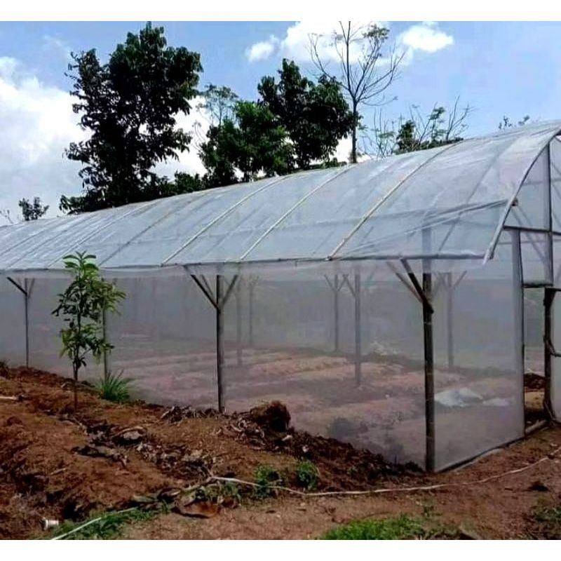 Plastik uv uk 7x8 200 micron greenhouse