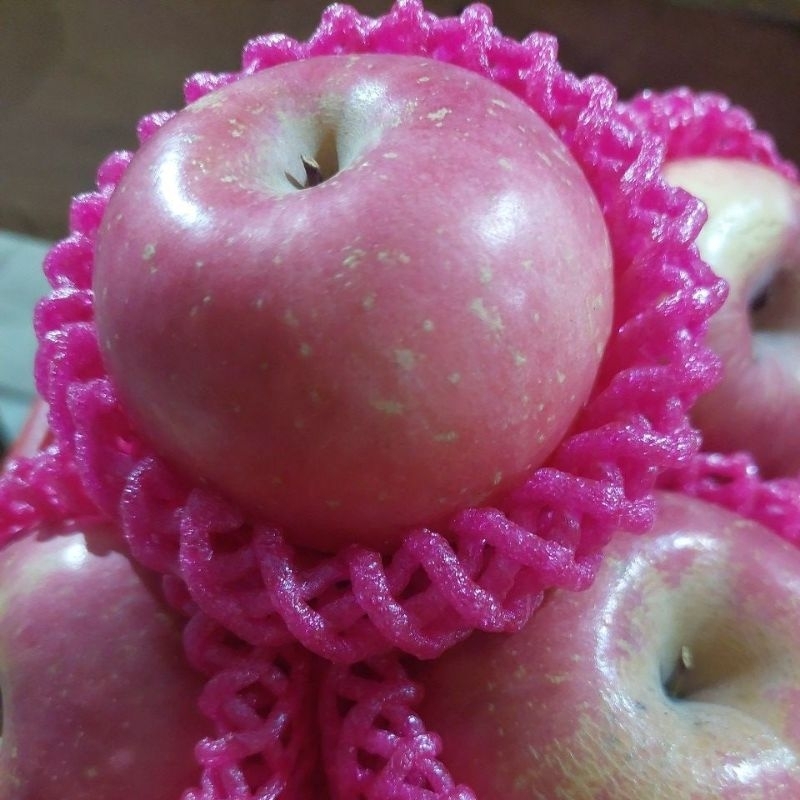 APEL FUJI BUAH FRESH 1KG