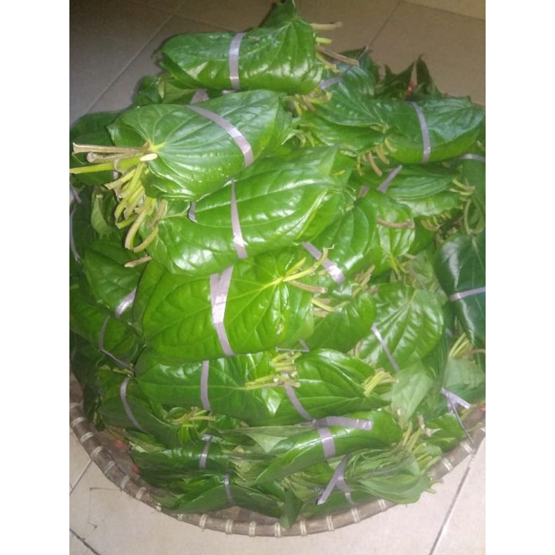 

PROMO!!! DAUN SIRIH HIJAU SEGAR 20lembar