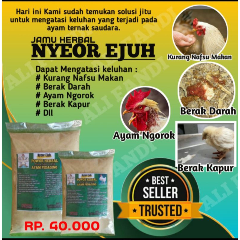 

nyeor ejuh, minuman herbal alami, ayam pedaging.