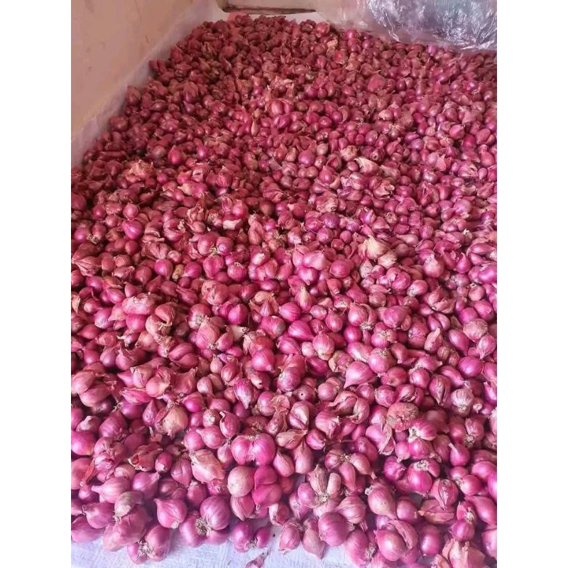 Bawang Merah 1KG Asli Nganjuk JAWA TIMUR