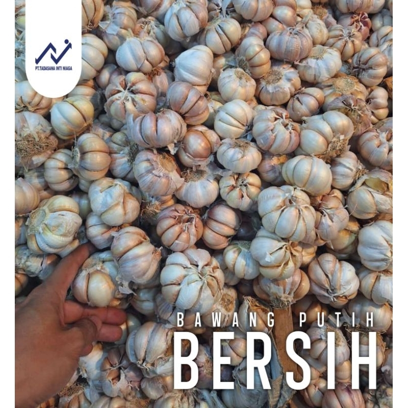 

BAWANG PUTIH BERSIH 1 KG