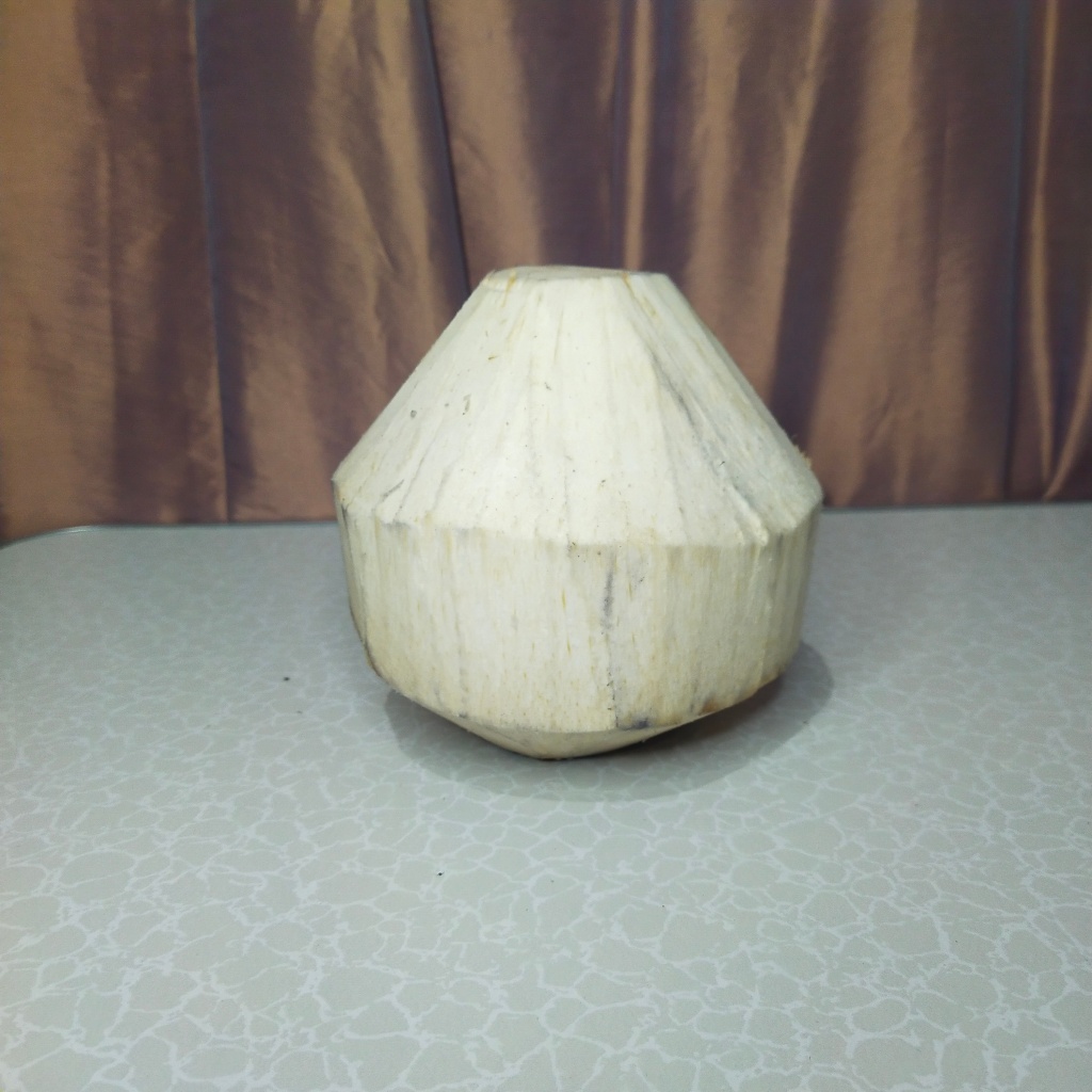 

Kelapa Muda segar / Degan petik langsung dari pohon perbutir