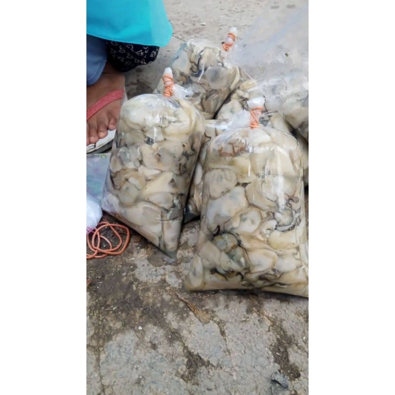 

Daging kerang tiram segar Daging oyster 1kg