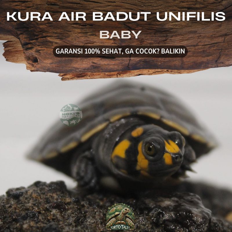 PELET KURA AIR UNIFILIS SEHAT RAKUS NO MINUS GARANSI
