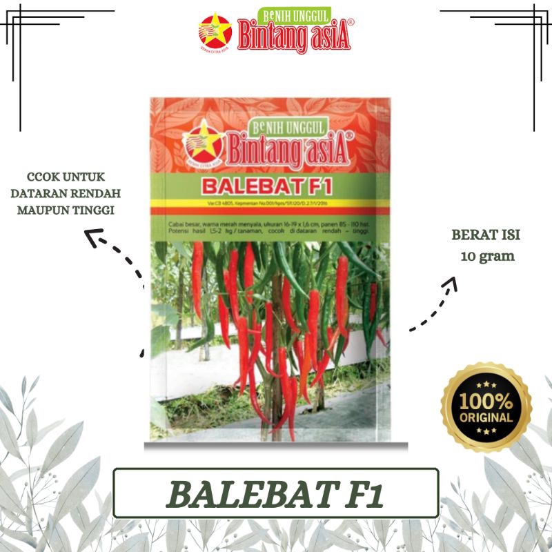 BENIH CABAI BESAR BALEBAT F1 10 GRAM BINTANG ASIA PT. BENIH CITRA ASIA