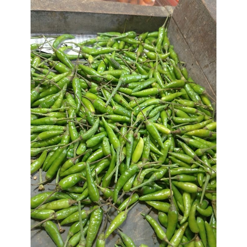 

cabai rawit ijo 250gram