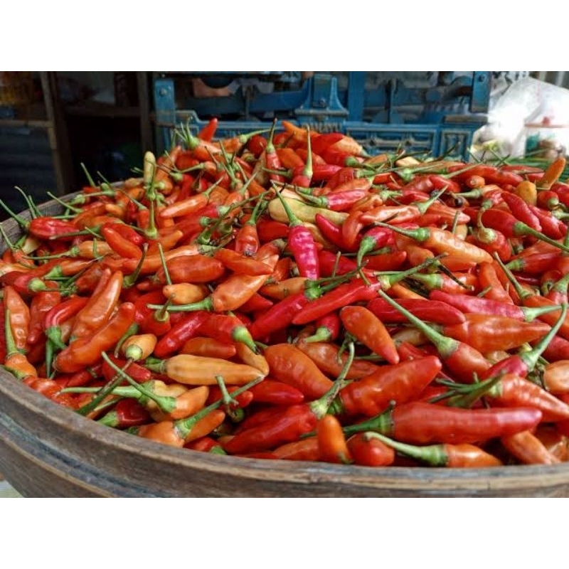 

cabai rawit merah 100gram