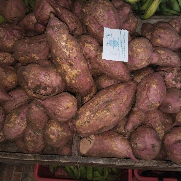 

Ubi Jalar 1 Kg - Segar & Manis | Ubi Ungu / Ubi Madu / Ubi Kuning Pilihan