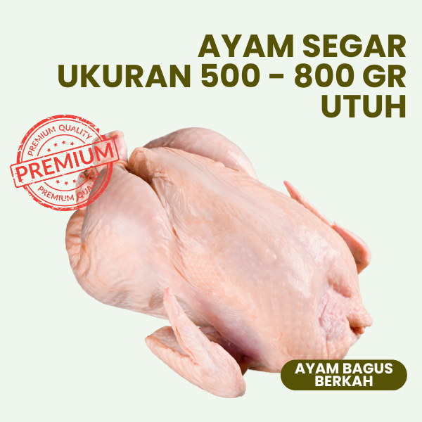 

Ayam karkas Potong 500 gr - 800gr segar premium