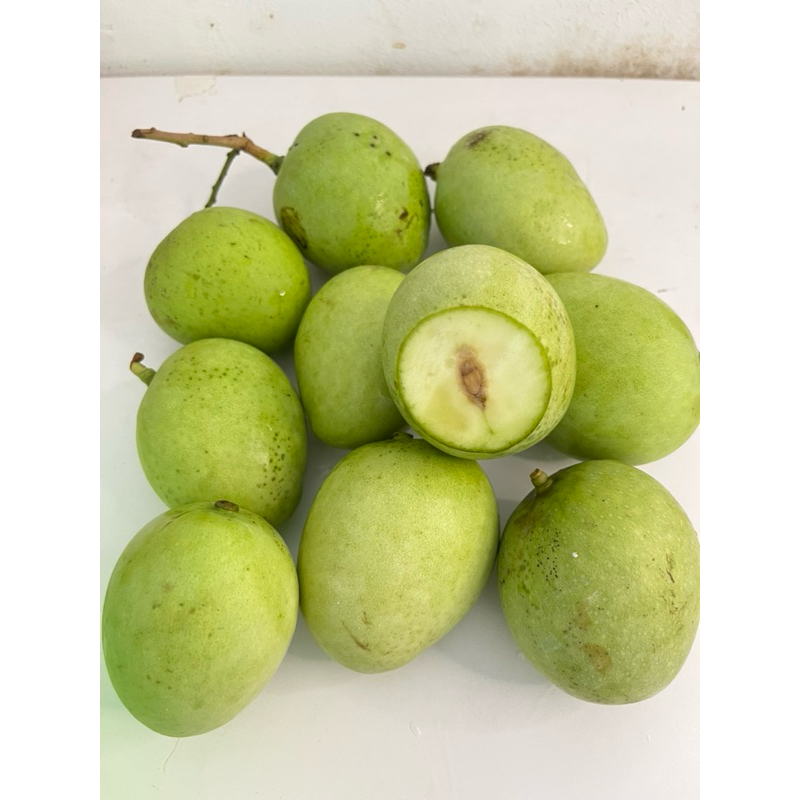 

MANGGA_MUDA_COCOK_UNTUK_RUJAK
