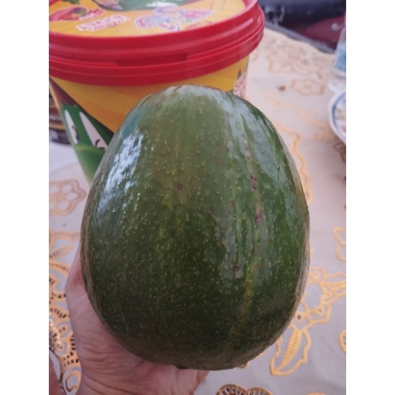 

alpukad jumbO