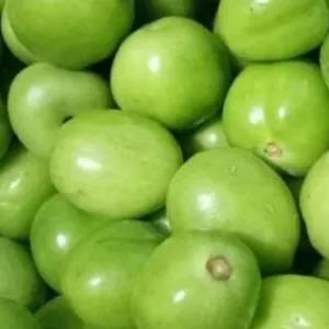 tomat hijau 1 kg