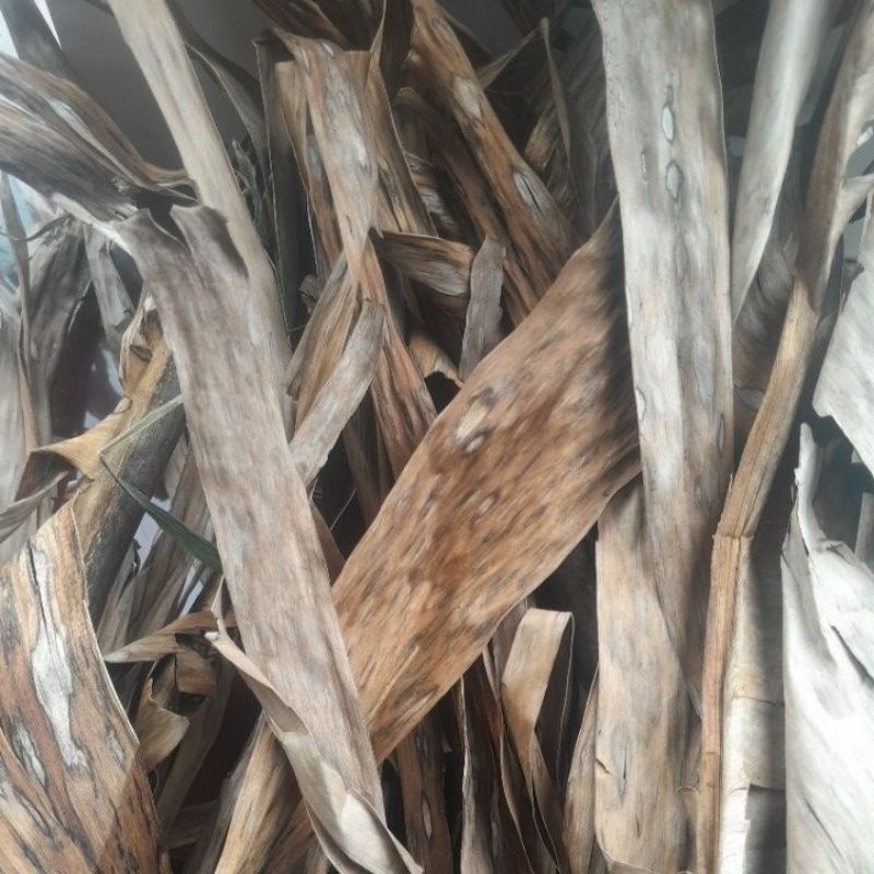 

Daun ka raras/daun pisang kering