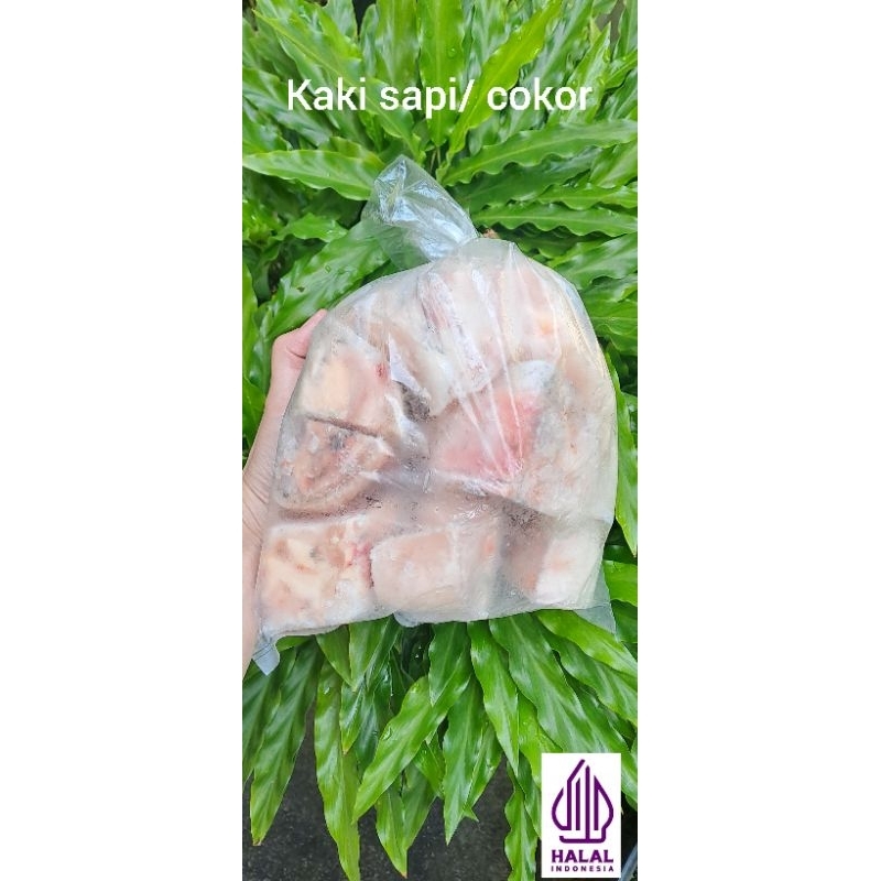 

kaki sapi / cokor 1kg termurah