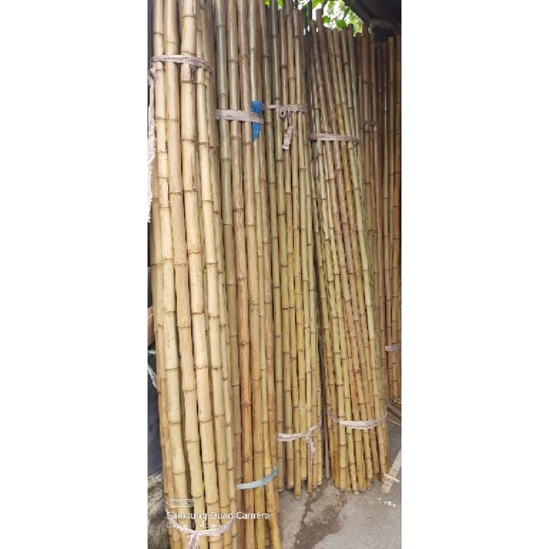 Tongkat Pramuka Bambu 2 Meter/Tongkat Bambu 2 Meter/Bambu 2 Meter Polos/Bambu Tongkat 200 CM/Bambu 2