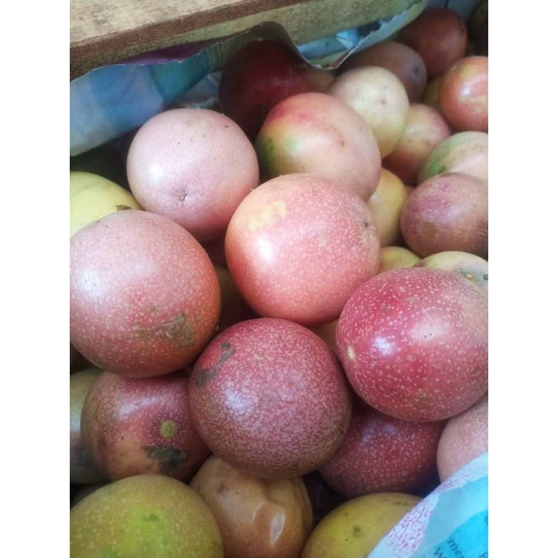 

Buah markisah segar/asam/manis 1kg